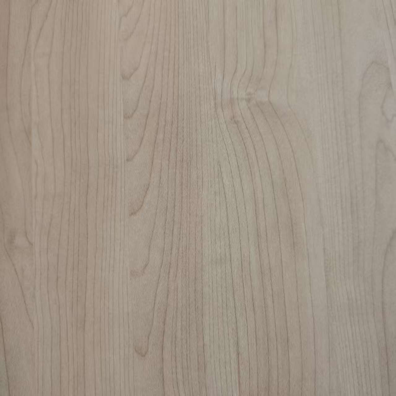 Melaminepapier8031-10